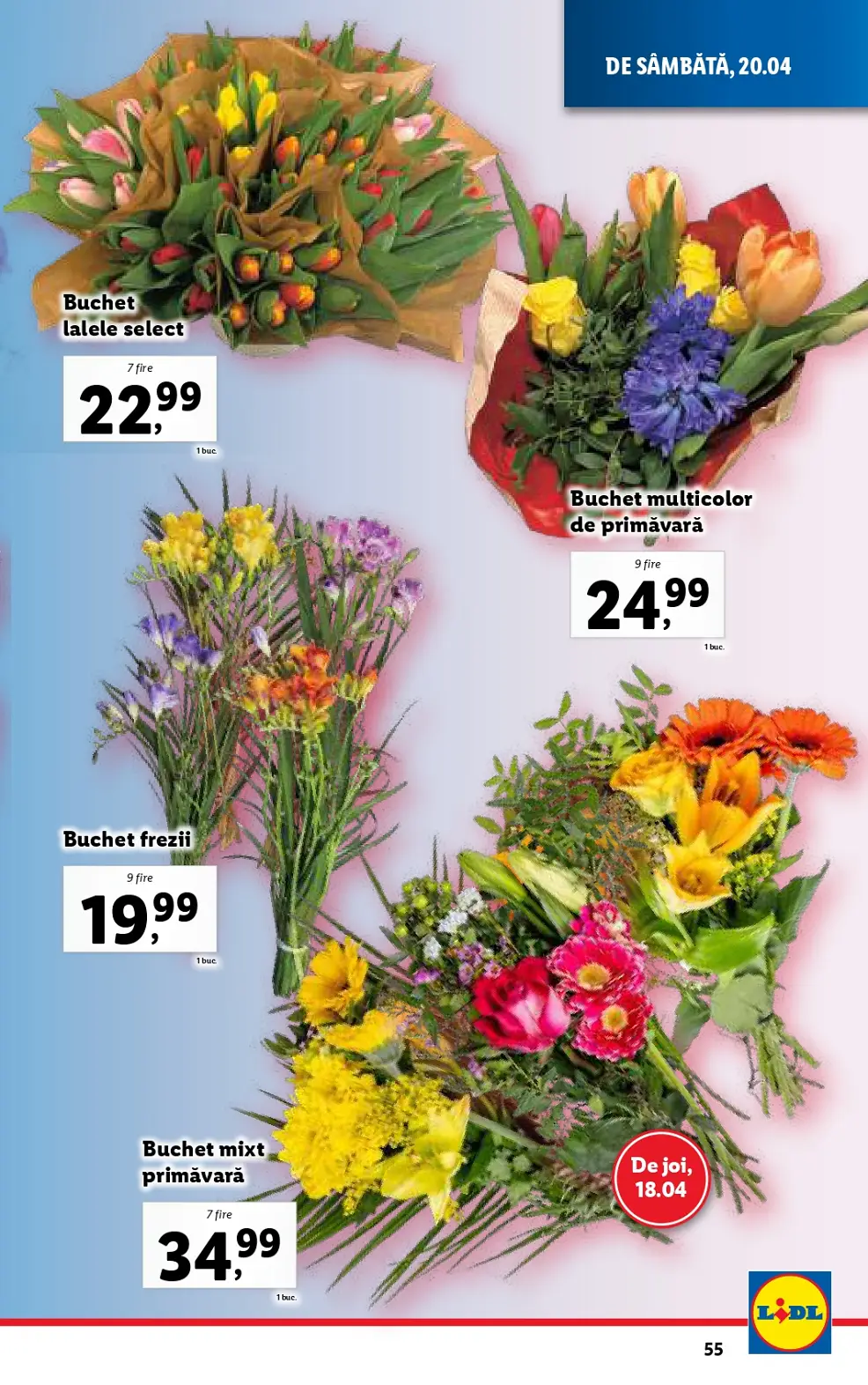 catalog Lidl